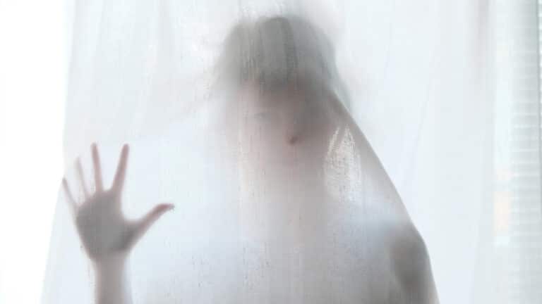 Giuditta Guastamacchia fantasma degli avvocati napoli