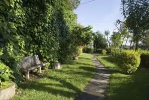 bosco-di-capodimonte