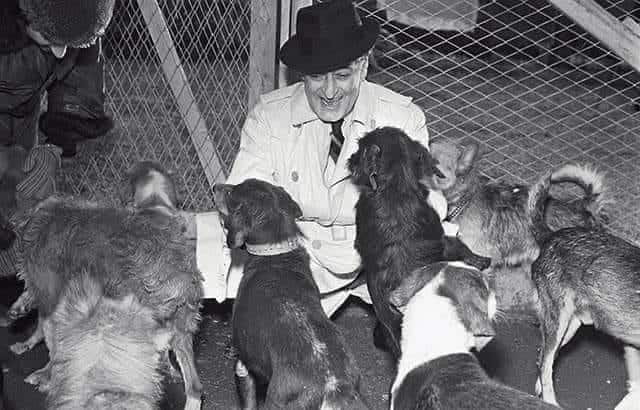duecentoventi cani di toto