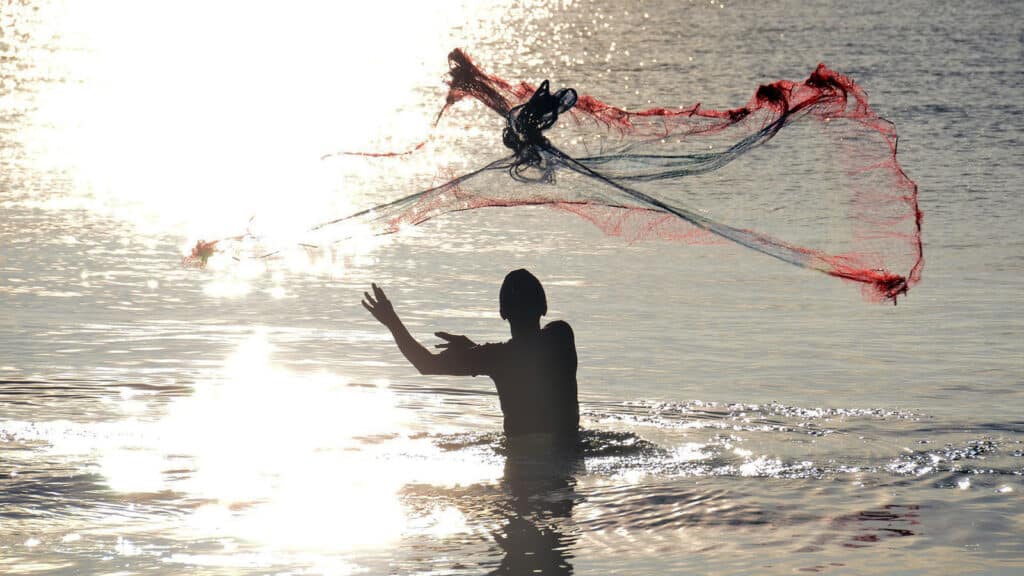 stongo che pacche int all acqua
