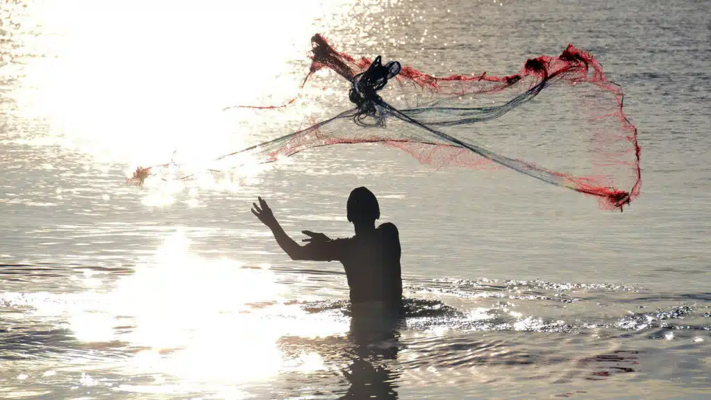 stongo che pacche int all acqua