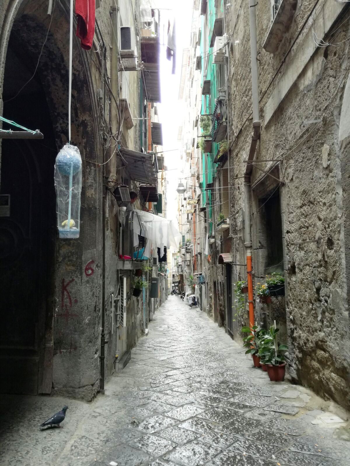 La leggenda della strega di vico pensiero