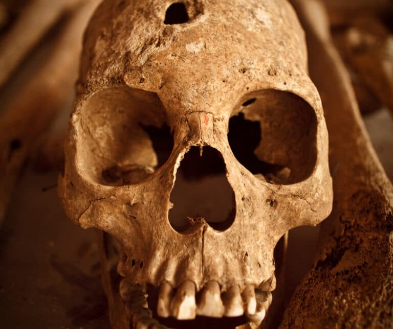 teschi foro proiettile san giorgio maggiore napoli