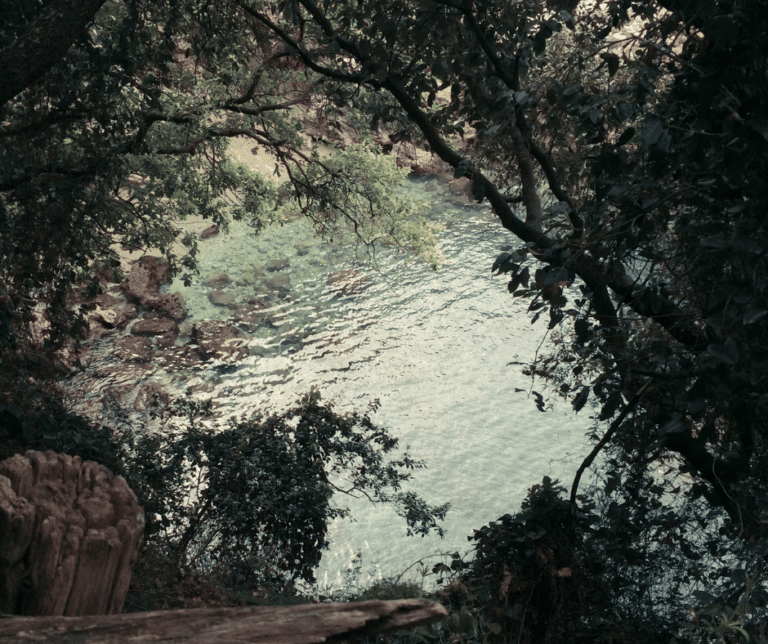 Fiume tra alberi e rocce.